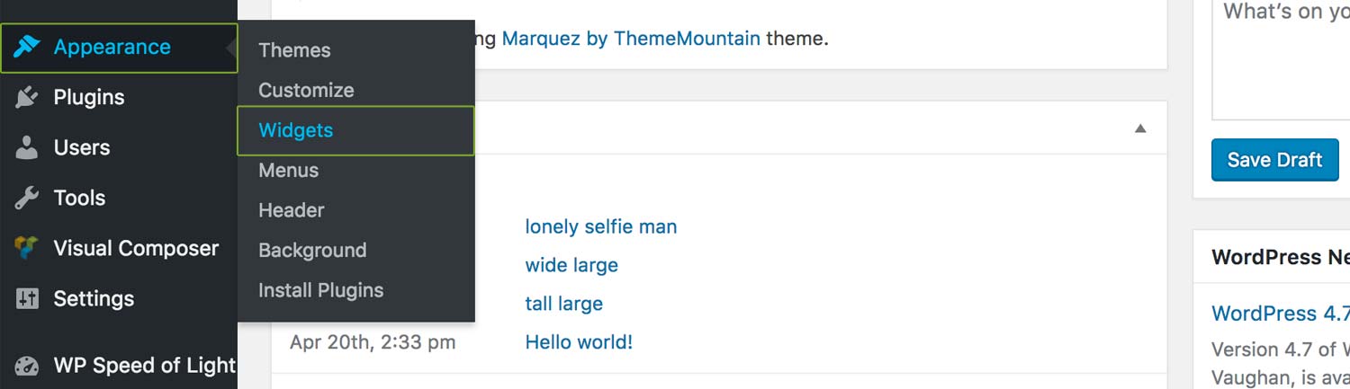 Theme Widget Areas